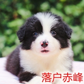 1667051357163387.jpg 吧2.jpg